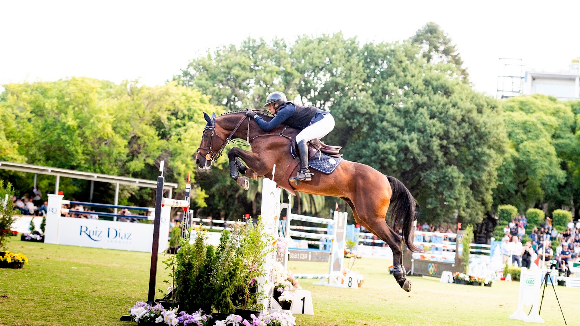 Sementales Rancho Santa Rosa