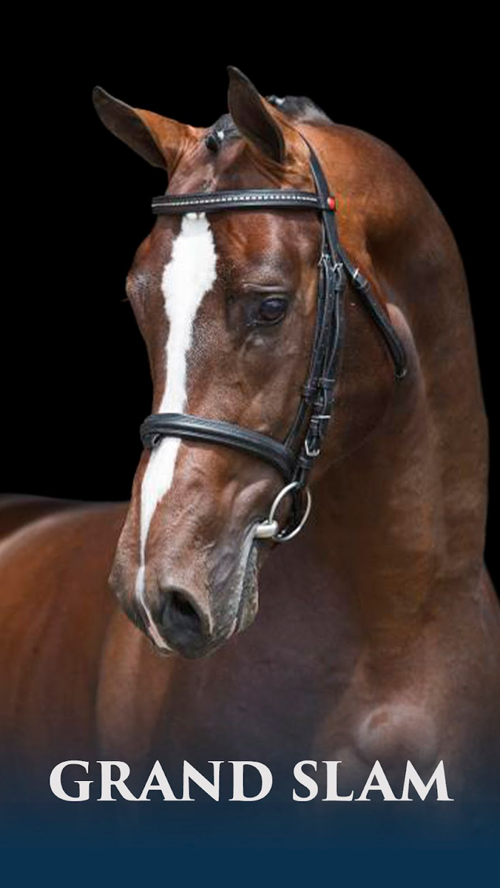 Grand Slam