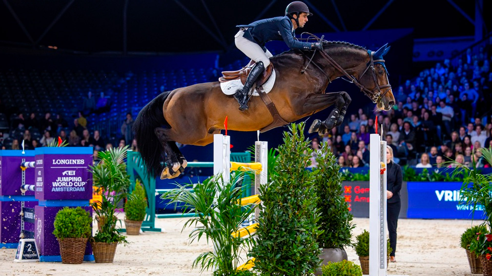 Sementales Rancho Santa Rosa