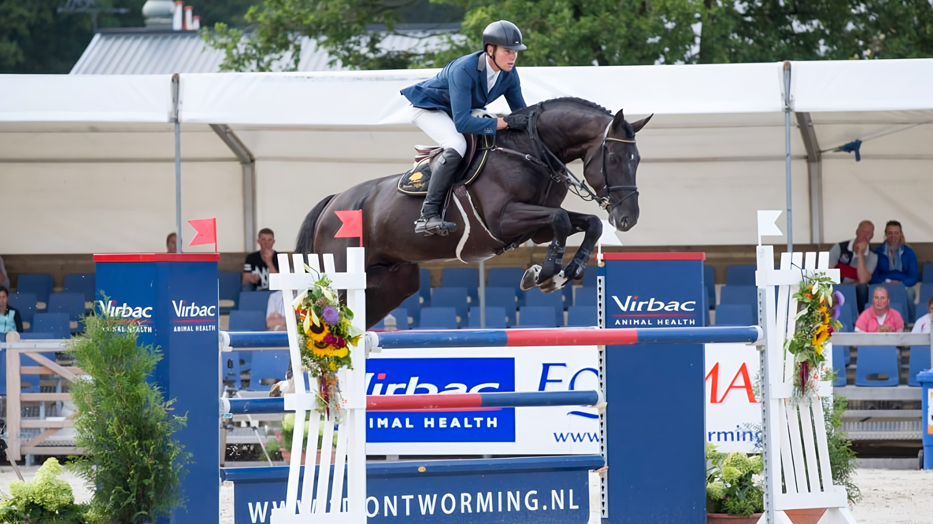 Sementales Rancho Santa Rosa