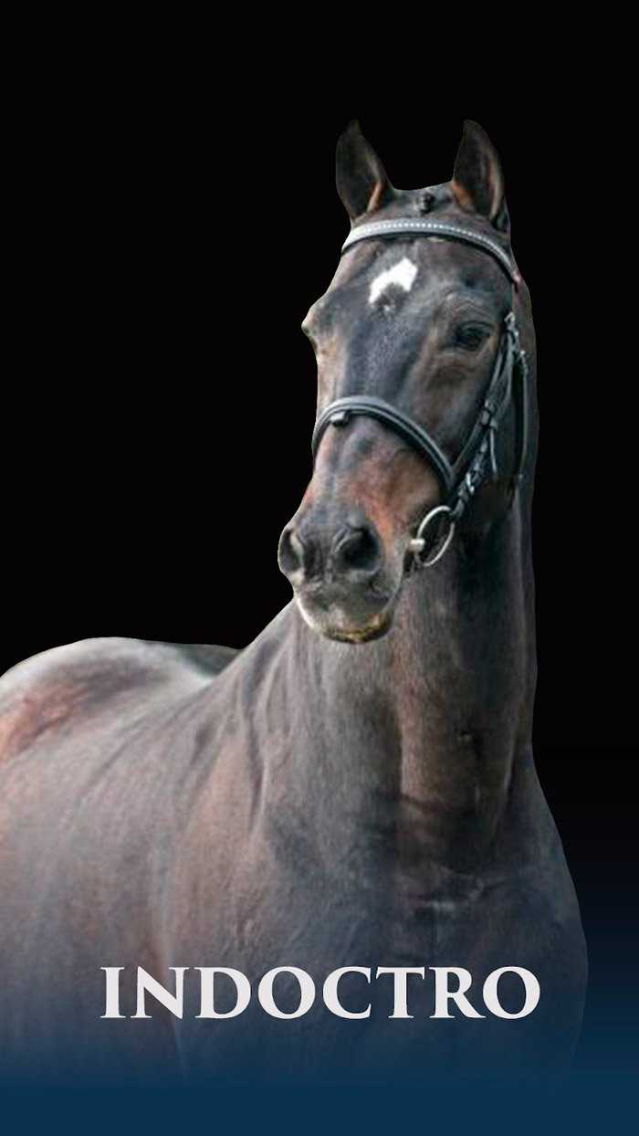 Indoctro