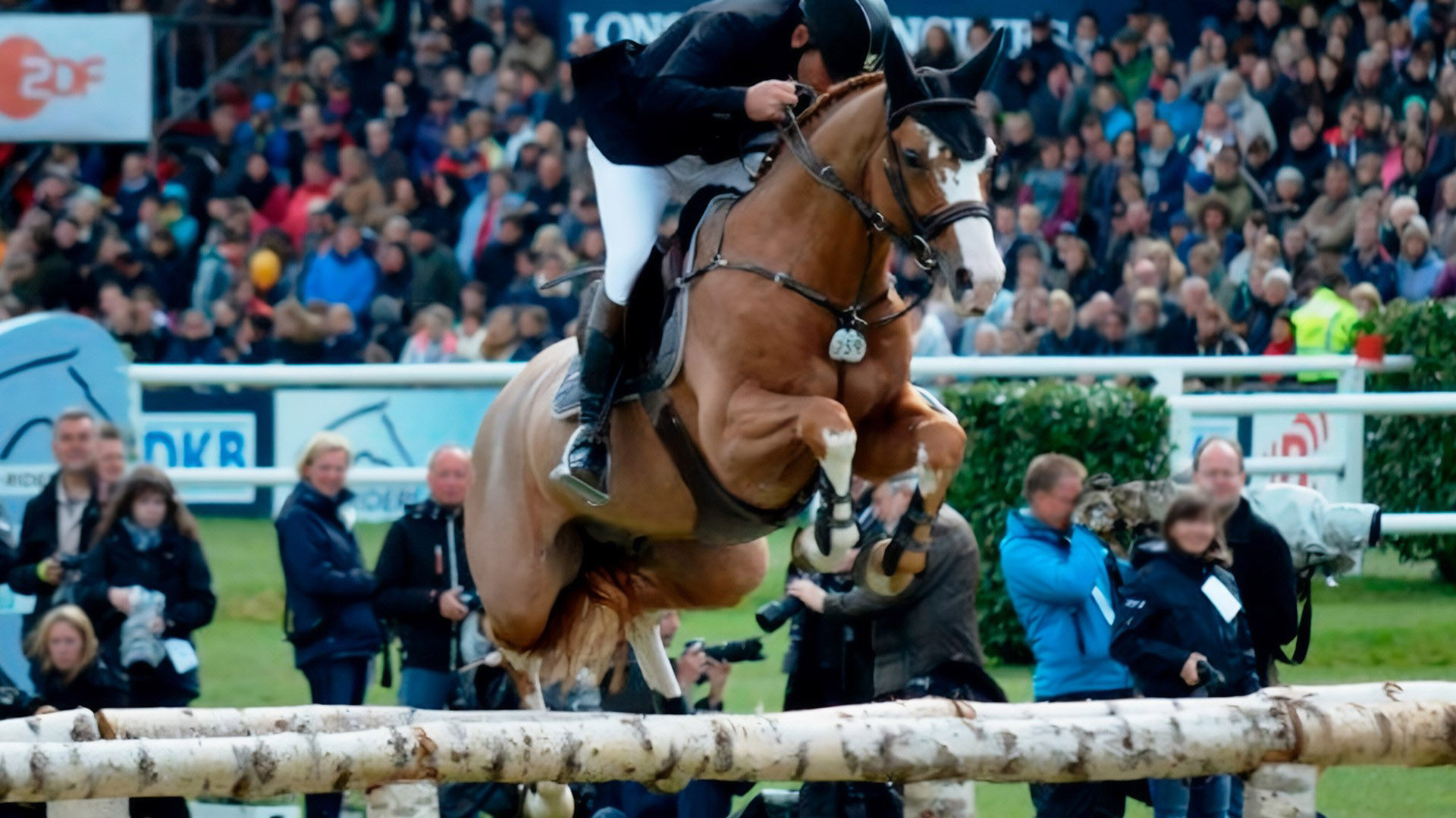 Sementales Rancho Santa Rosa