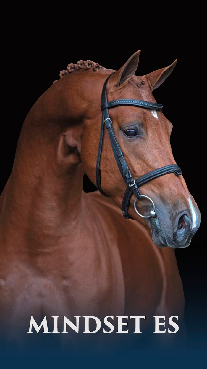 Mindset Es